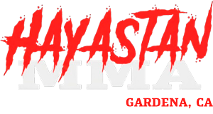 Hayastan MMA Academy